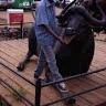 Cleophas Muli
