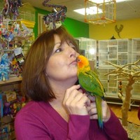 Denise DArgenio