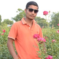 Pramod Arsule