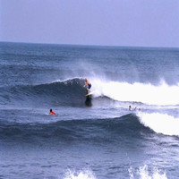 C. Travis Watkins