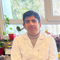 Danial Saravani