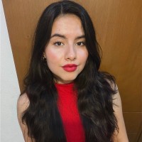 Karen Gudiño Mendoza