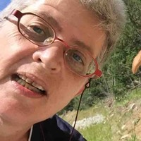 Birgitta Vrieslander