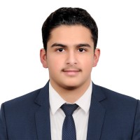 Abdulmajeed A. AlQahtani