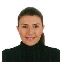 Emre H. Cakir