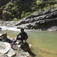 Kulbir Singh