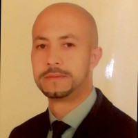 Mehdi Roudi