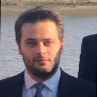 Nikolaos Palaiokrassas, MICS