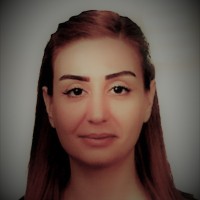 Sibel KACMAZ ÖZÇETİN