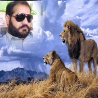 Muhammad Shahbaz Gujjar