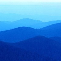 adilson pedrozo de lima