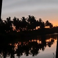 Niranjan K