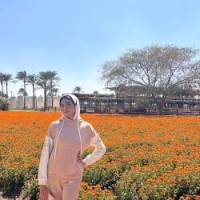 heba allah