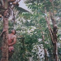 Kuresa Faleseuga LK Group