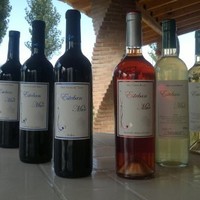 Vinos Esteban Mur Mur
