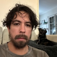 Nicolas Salinas