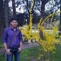 M.Hadi Zare