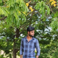 Dhanush Kodi