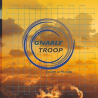 Gnarly Troop (Young Care Forum)