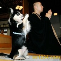 潘富成