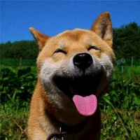冉鹏飞