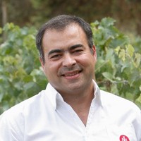 Nuno Morais