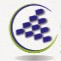 CONSULTORES Y AUDITORES PROFESIONALES  DE IBAGUE S.A.S
