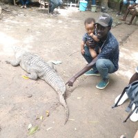 Seedia Jammeh