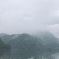Murphy Zhu