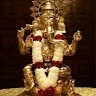 Sunitha Suni