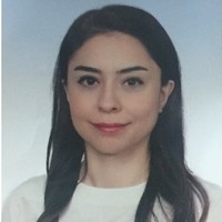 Zeynep Adiguzel