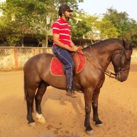 Mahendra Pratap Singh Tomar