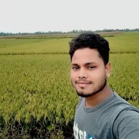 M Deb