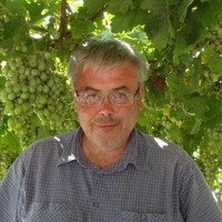Alexey Bishev