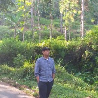 Moh Triyono