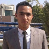 Mohamed Abdelzaher