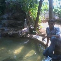 Manimaran S