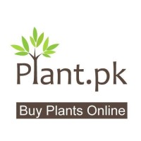 Plant. Pk