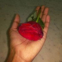 Reeja Philipose