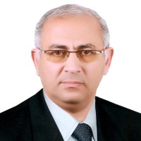 alaa gobran