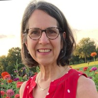 Lisa F. Geiger, MN, ARNP, FNP-BC, BCH