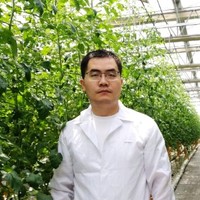 Jian Li