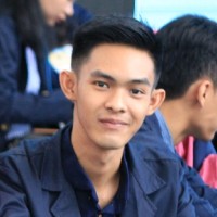 Insanul Habibie