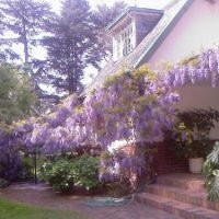 EtCetera Personnel Consultants