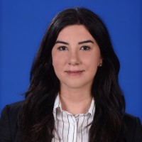 Sidal Akgeyik