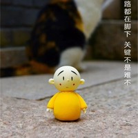 梁金健