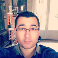 Anis Laouiti