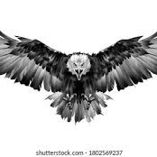 Eagle View
