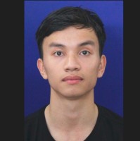 Nhật Tân Đào