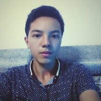 向柏林